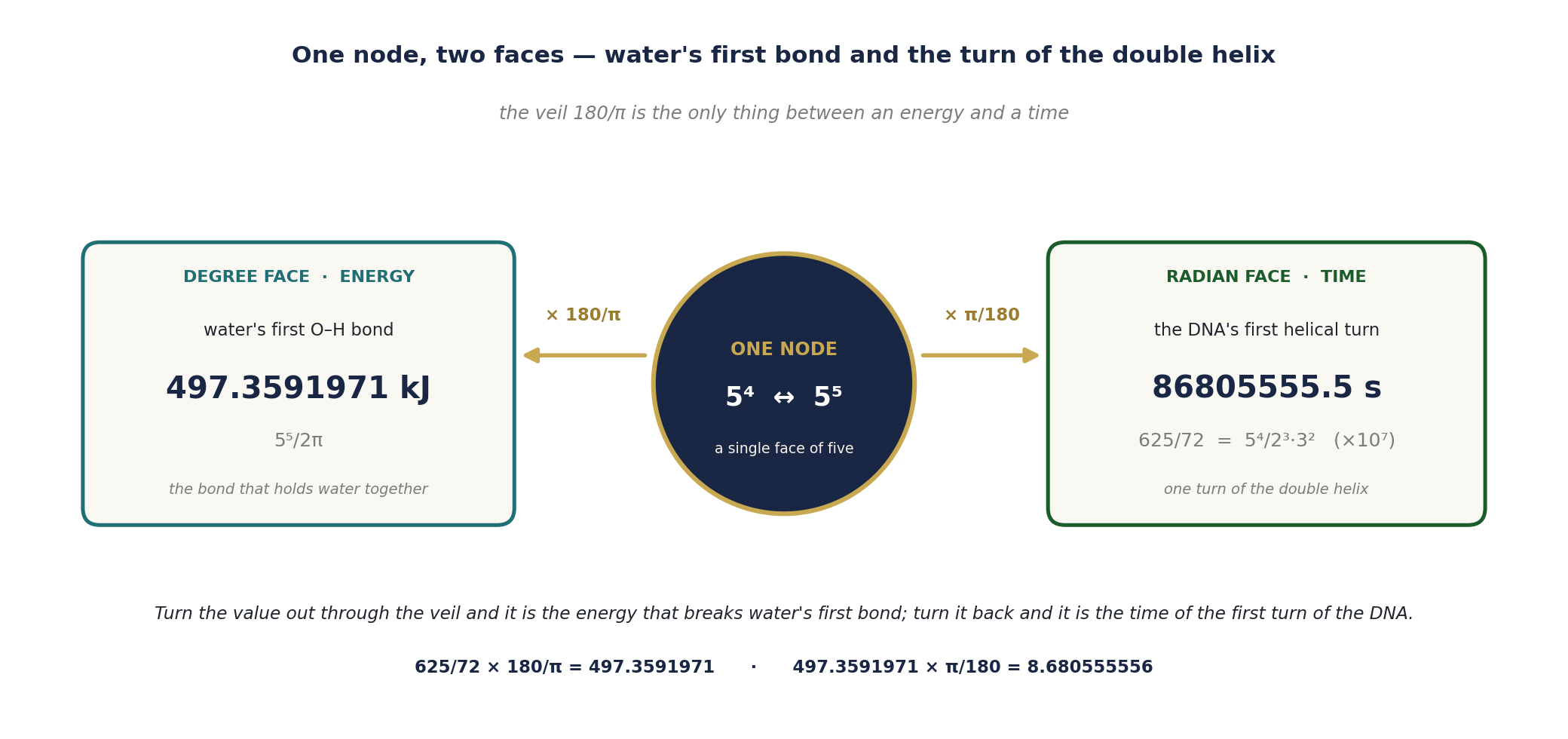 One node, two faces: water's first O–H bond as an energy and the DNA's first helical turn as a time, joined by the veil 180/π.